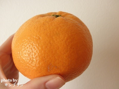 らでぃっしゅぼーや旬の野菜セット ぱれっとのオレンジ