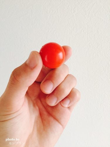 ガーデニング王子の初収穫のぷちトマト