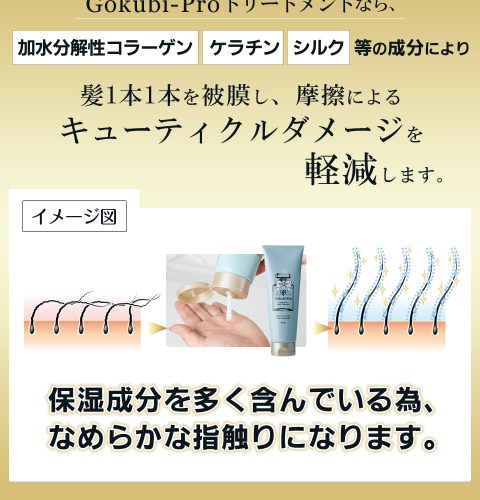 驚きのツヤ髪効果 リバースケアができるゴクビプロの使い方と口コミ 綺麗ママになる方法
