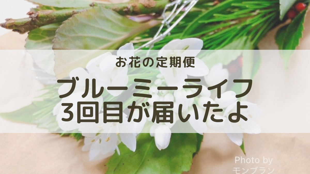 お花の定期便ブルーミーライフ500円の体験プラン3回目のお花口コミレビュー