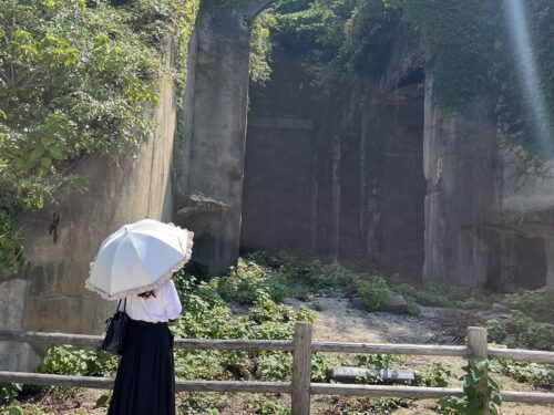 50代から始めた整える美容をイメージした花の写真