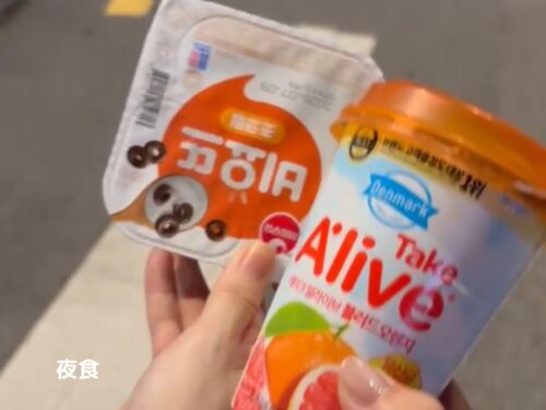 韓国旅行記